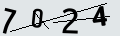 verifycode